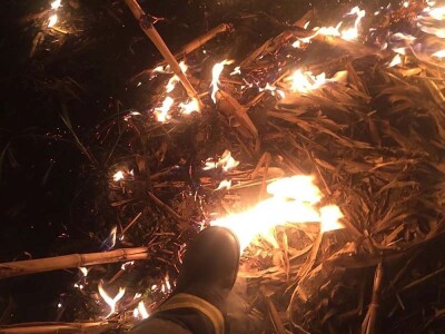 Požar strnjaka kod Osijeka