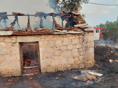 Požar u maslinicima u Neumu