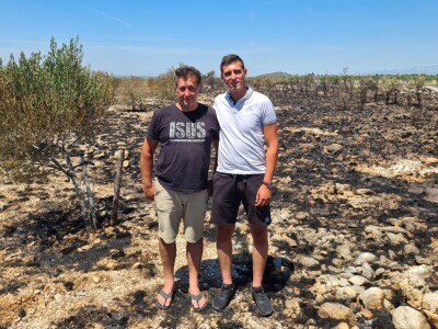 Požar u masliniku zbog nesreće na autocesti