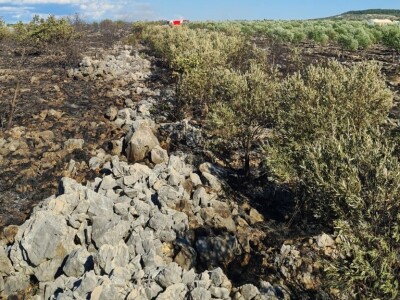 Požar u masliniku zbog nesreće na autocesti