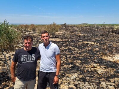 Požar u masliniku zbog nesreće na autocesti