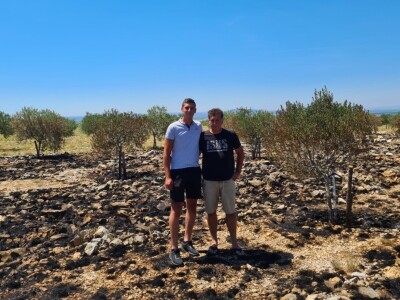 Požar u masliniku zbog nesreće na autocesti