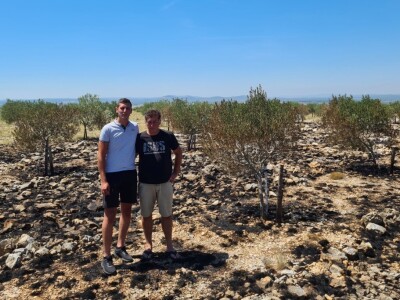 Požar u masliniku zbog nesreće na autocesti