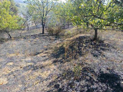 Požar u Podrckavlju