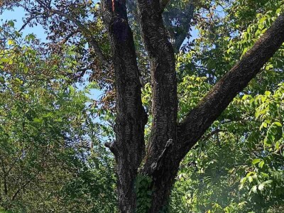 Požar u Podrckavlju