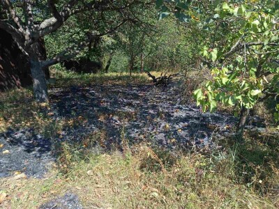 Požar u Podrckavlju