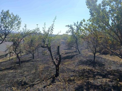 Požar u Podrckavlju