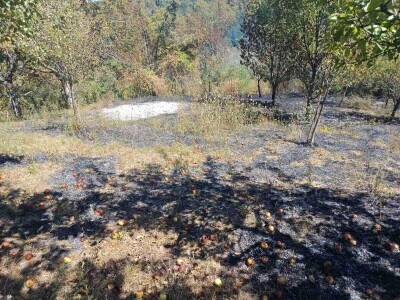 Požar u Podrckavlju