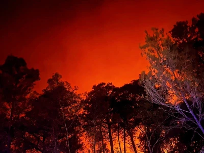Požari u Dalmaciji