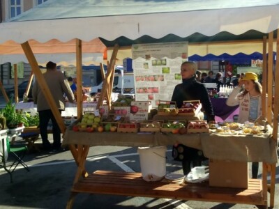 Otporne sorte jabuka Hrvatskog centra za poljoprivredu, hranu i selo