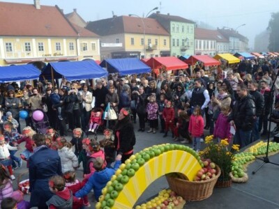 Otvaranje izložbe - foto: I. Šnajder