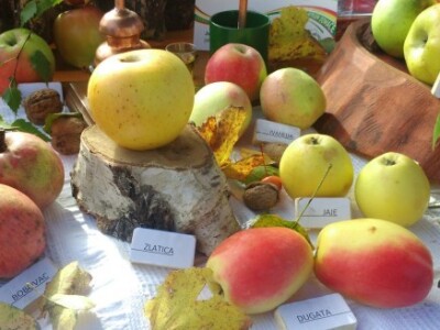 Lijepi oblici, boje, okusi i mirisi starih sorata