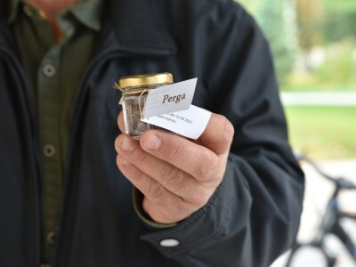 Poznati bjelovarski pčelar Miroslav Petreković o najljekovitijem pčelinjem proizvodu „perge“