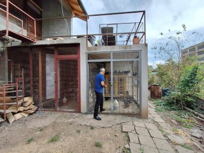 Poznati niški privrednik ima 600 golubova i sve ih prepoznaje Poznati niški privrednik ima 600 golubova i sve ih prepoznaje