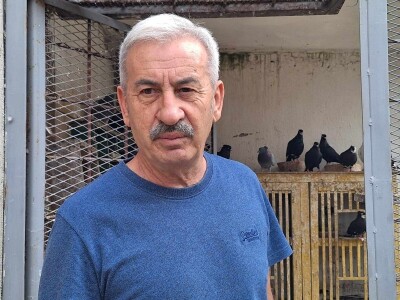 Poznati niški privrednik ima 600 golubova i sve ih prepoznaje Poznati niški privrednik ima 600 golubova i sve ih prepoznaje