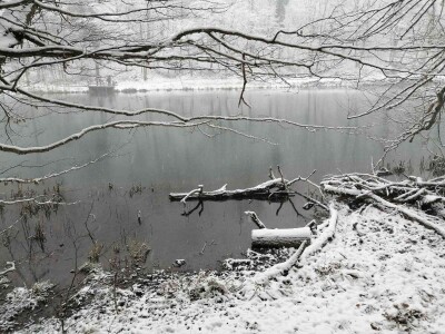 PP i NP za vrijeme zime
