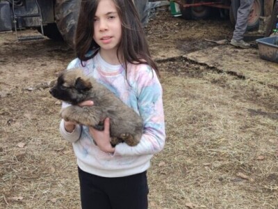 PPG "Viraj Rafael" iz Drinovaca u općini Grude