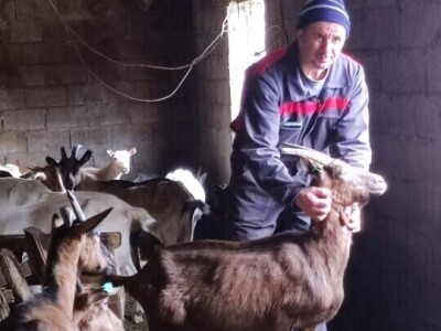 PPG "Viraj Rafael" iz Drinovaca u općini Grude