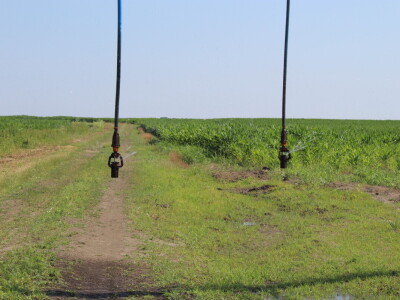 PPK Valpovo Ivan Brkić
