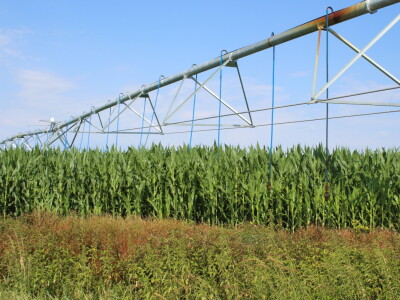 PPK Valpovo Ivan Brkić