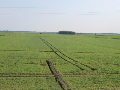 PPK Valpovo Ivan Brkić