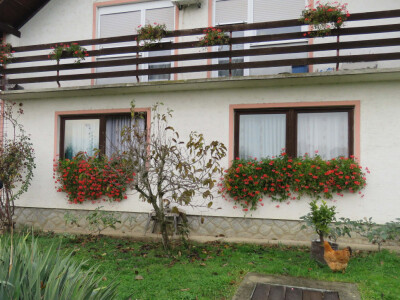 Lidija voli i cvijeće