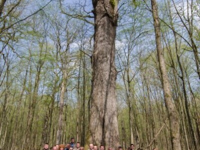 Grupna fotografija kraj najvećeg hrasta Grupna fotografija kraj najvećeg hrasta