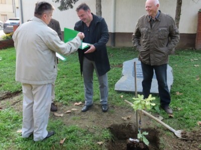 Sadnica lužnjaka na Prašniku Sadnica lužnjaka na Prašniku