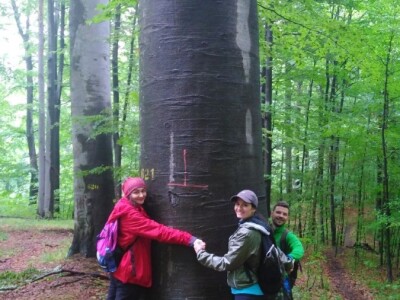 Prašuma u Srbiji - "Danilova kosa"