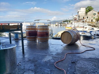 Pravi  crljenak Pravi  crljenak