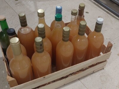 Pravljenje soka od krušaka