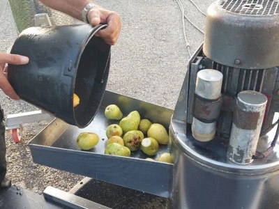 Pravljenje soka od krušaka
