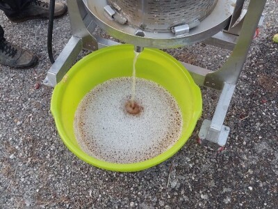 Pravljenje soka od krušaka