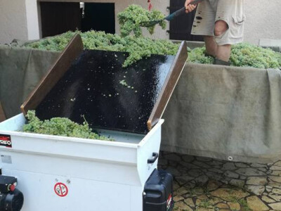 pravljenje vina pravljenje vina