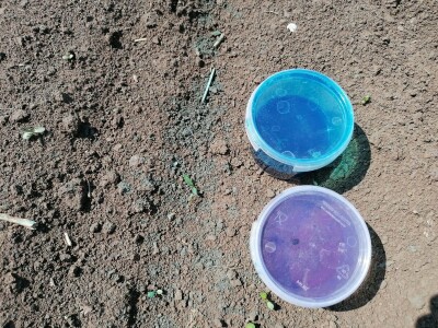 Precizna poljoprivreda – nov smer na Poljoprivrednom fakultetu