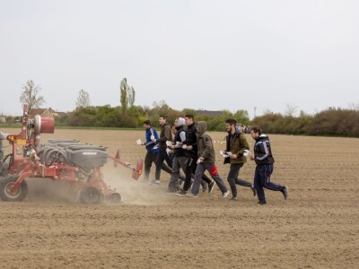 Precizna sjetva Horsch sijačicom