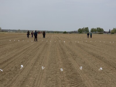 Precizna sjetva Horsch sijačicom