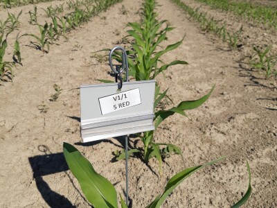 Precizna sjetva Horsch sijačicom