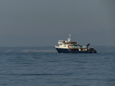 Predavanje o invazivnim vrstama u sjevernom Jadranu - Neven Iveša