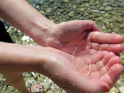 Predavanje o invazivnim vrstama u sjevernom Jadranu - Neven Iveša