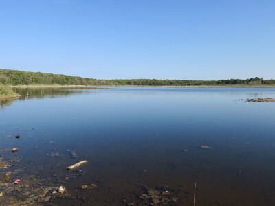 Predavanje o invazivnim vrstama u sjevernom Jadranu - Neven Iveša