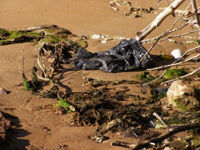 Predavanje o invazivnim vrstama u sjevernom Jadranu - Neven Iveša