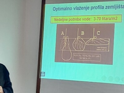 Predavanje o plasteničkoj proizvodnji povrća