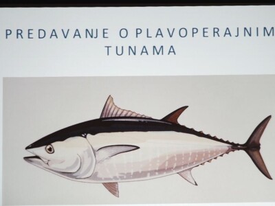 Predavanje o plavoperajnoj tuni