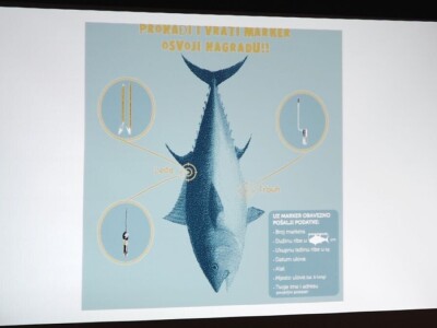 Predavanje o plavoperajnoj tuni