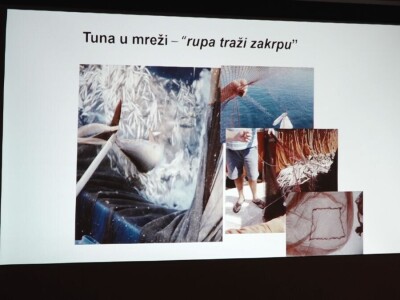 Predavanje o plavoperajnoj tuni