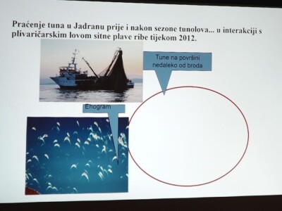 Predavanje o plavoperajnoj tuni