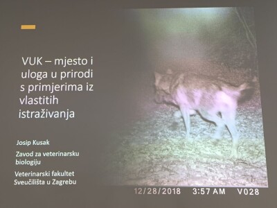 Predavanje prof. dr. sc. Josipa Kusaka o ulozi vuka u prirodnim ekosustavima i značaju njegovog očuvanja.