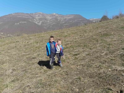 Predrag "spašava" pradjedovinu: Umjesto šiblja, lješnik! Predrag "spašava" pradjedovinu: Umjesto šiblja, lješnik!