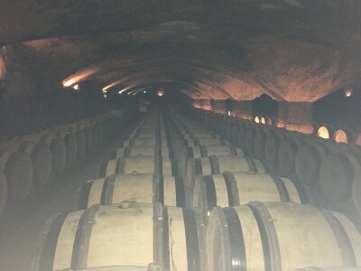 PREDSTAVLJANJE KNJIGE - Putopisne paralele Od Cerodola do Burgundije